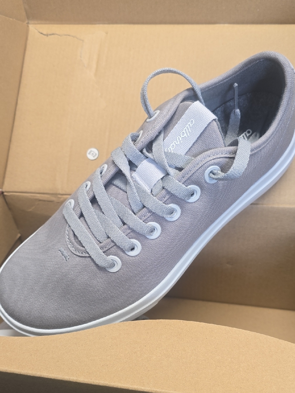 allbirds Women's Gray Canvas Sneakers